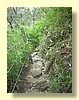 DSCN0447.JPG