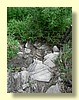DSCN0448.JPG