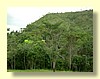 DSCN0451.JPG