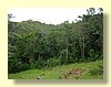 DSCN0453.JPG