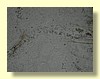DSCN0454.JPG