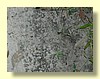 DSCN0455.JPG