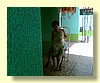 Photo001.jpg
