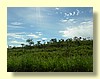 DSCN2195.JPG