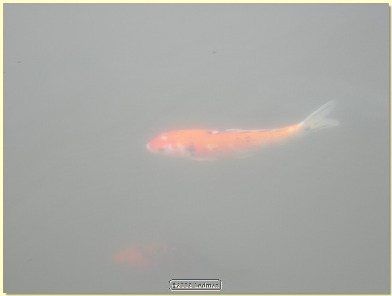 DSCN2148.JPG