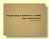 DSCN2121.JPG