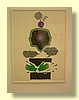 DSCN2122.JPG
