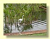 DSCN2145.JPG