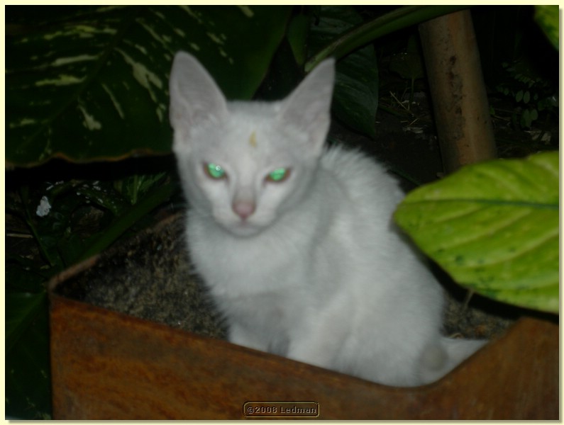 DSCN1925.JPG
