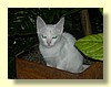 DSCN1925.JPG