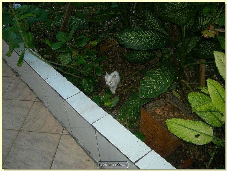 DSCN1798.JPG