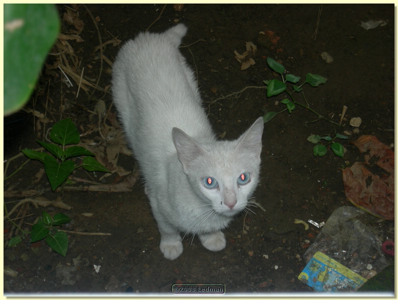 DSCN1941.JPG