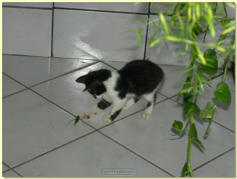 DSCN2238.JPG