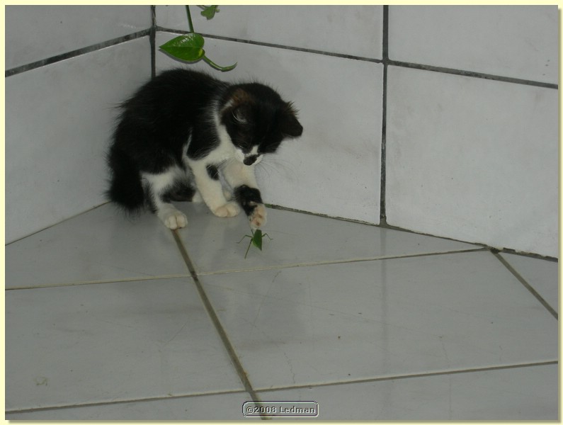 DSCN2239.JPG