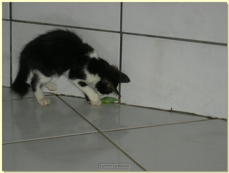 DSCN2247.JPG
