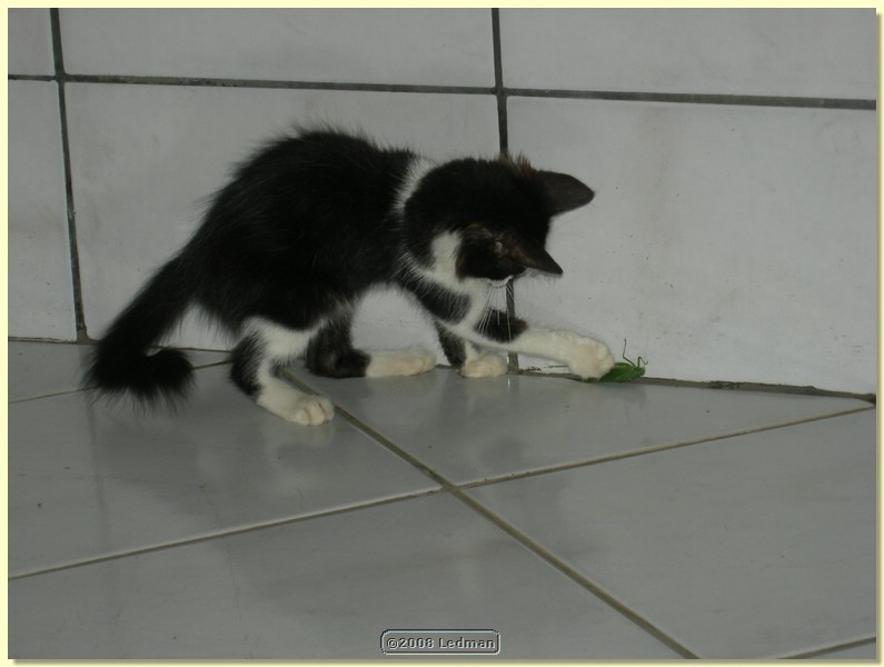 DSCN2248.JPG
