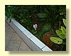 DSCN1798.JPG