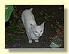 DSCN1941.JPG