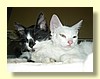 DSCN2003.JPG