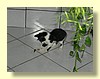 DSCN2238.JPG
