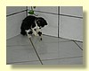 DSCN2239.JPG