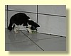 DSCN2247.JPG