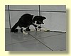 DSCN2248.JPG