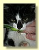DSCN2250.JPG