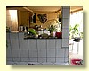 DSCN2302.JPG