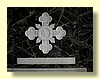 DSCN2341.JPG