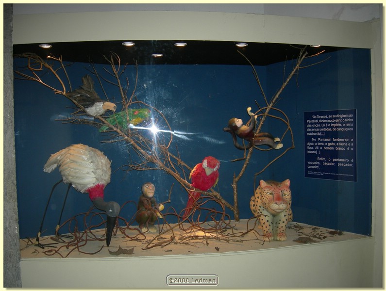 DSCN2517.JPG