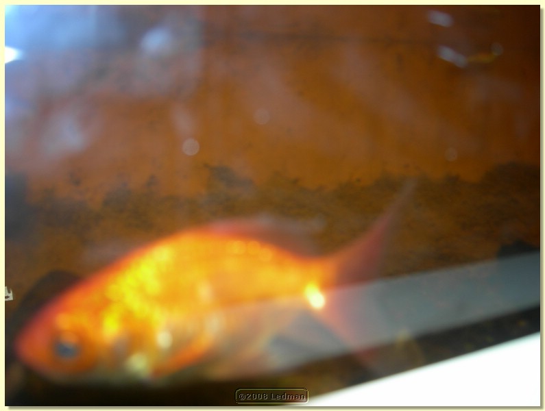 DSCN2520.JPG