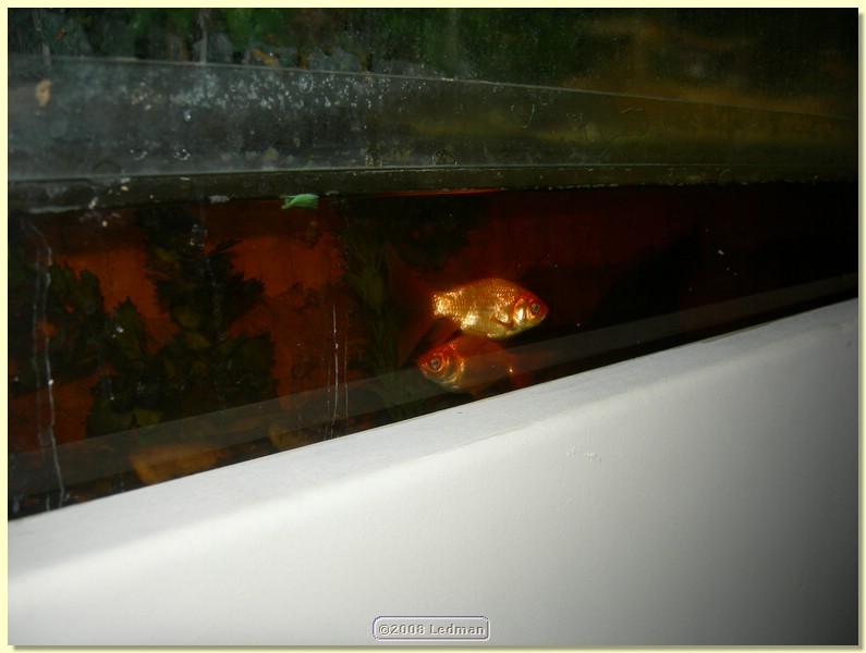 DSCN2522.JPG