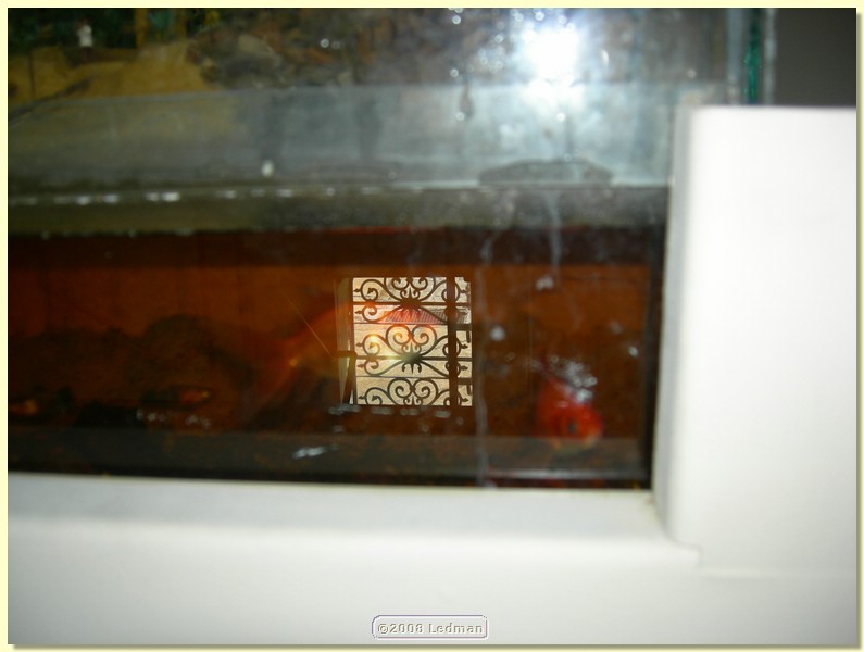 DSCN2523.JPG