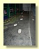 DSCN2519.JPG
