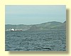 DSCN2539.JPG