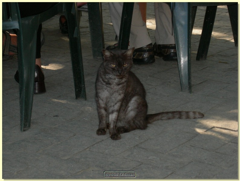 DSCN2415.JPG