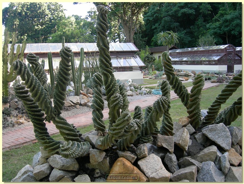 DSCN2417.JPG