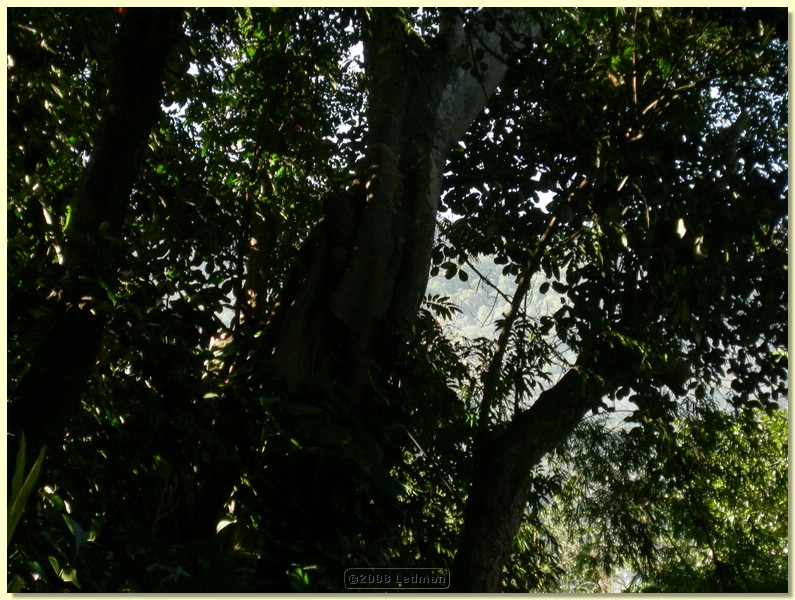 DSCN2421.JPG