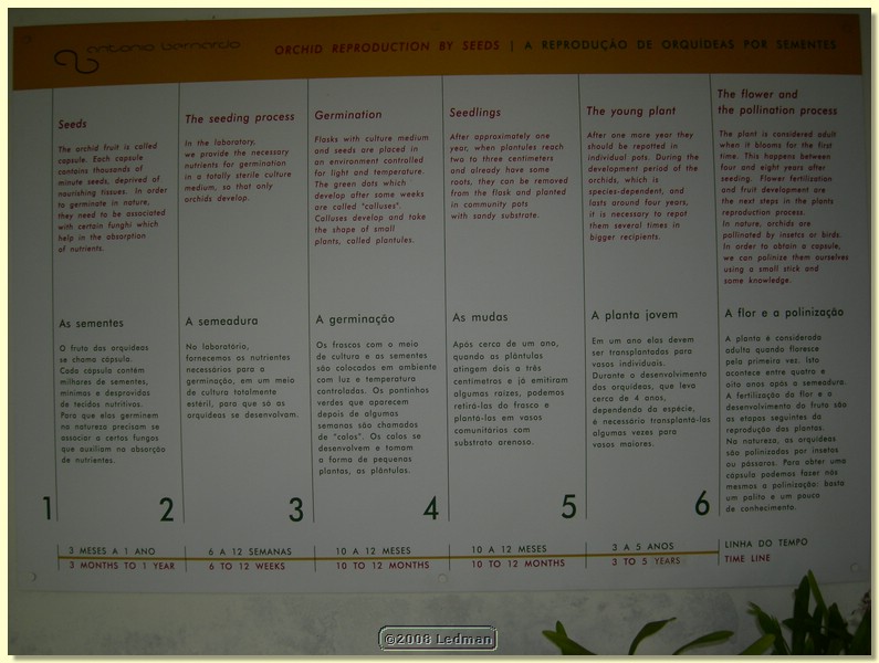 DSCN2426.JPG