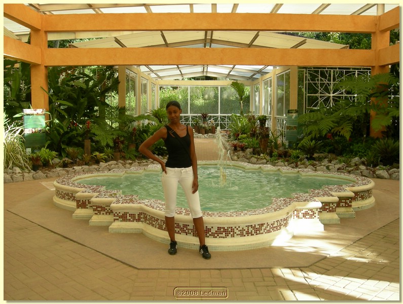 DSCN2427.JPG