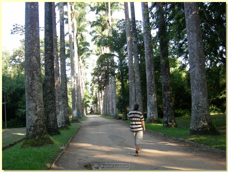 DSCN2439.JPG