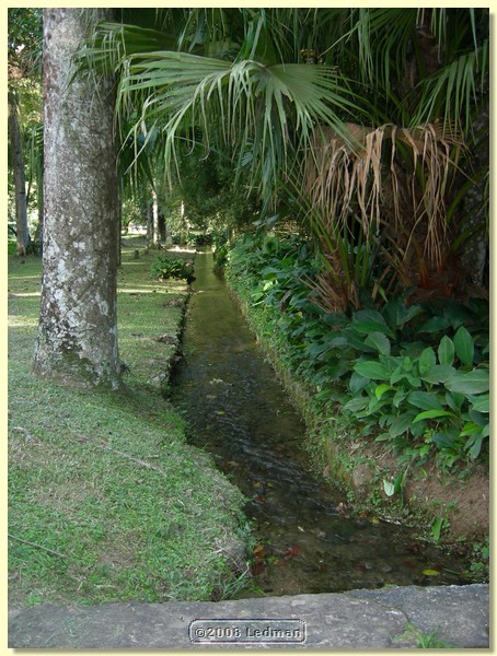 DSCN2440.JPG