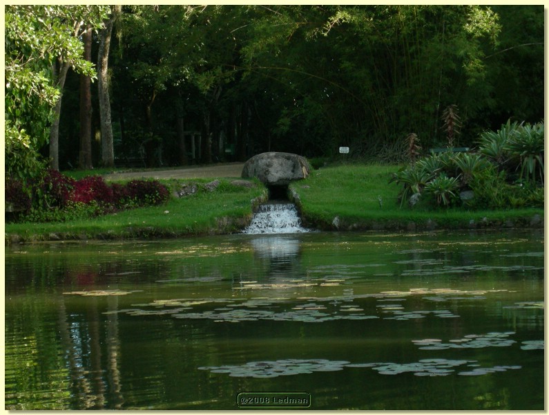 DSCN2446.JPG