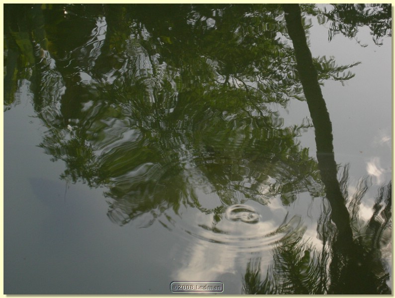 DSCN2448.JPG