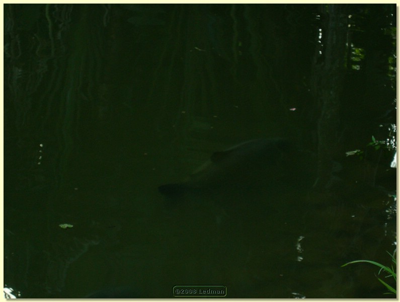DSCN2449.JPG