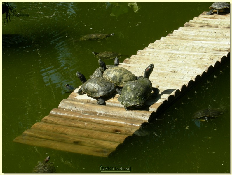 DSCN2596.JPG
