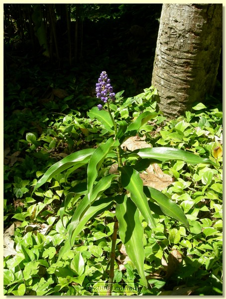 DSCN2598.JPG