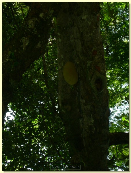 DSCN2599.JPG