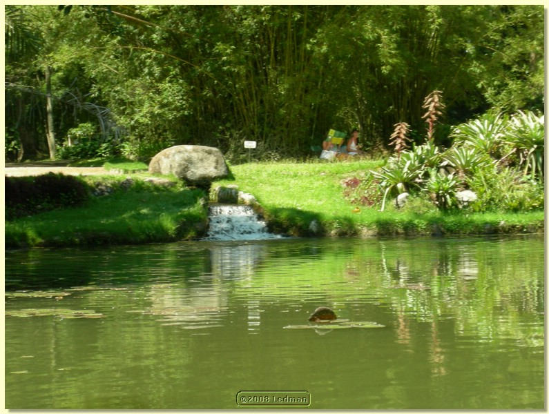 DSCN2613.JPG